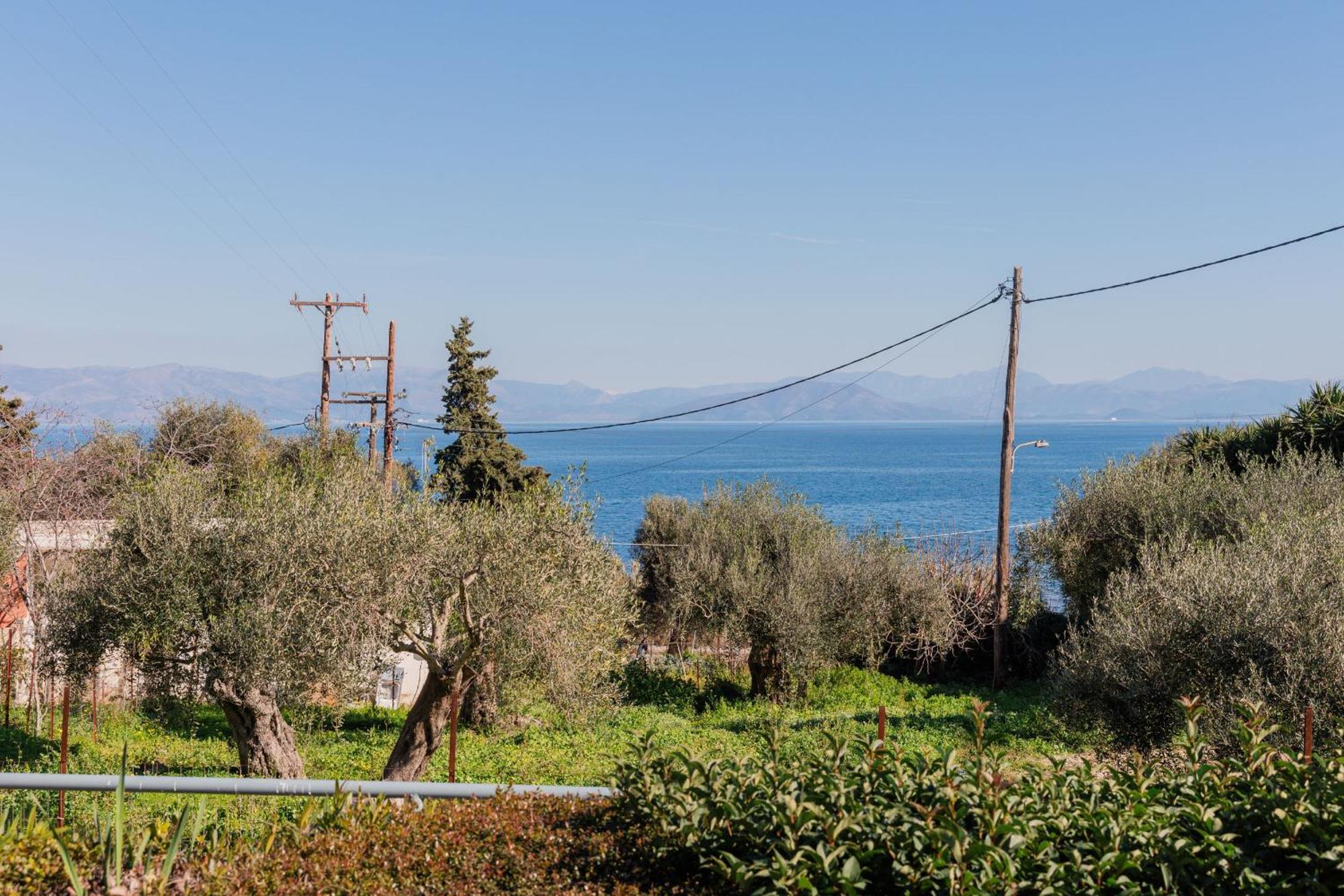 Achilleion Holiday Home Dış mekan fotoğraf